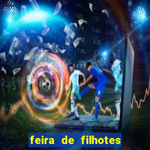 feira de filhotes porto alegre